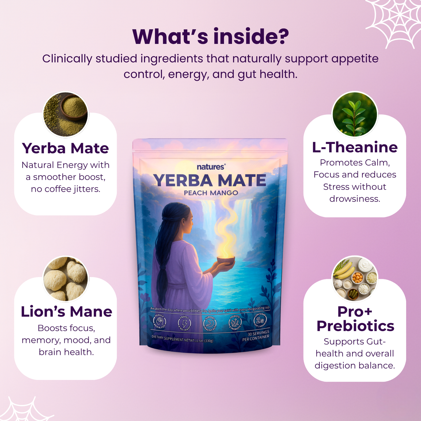 Natures - Yerba Mate Instant Tea Powder