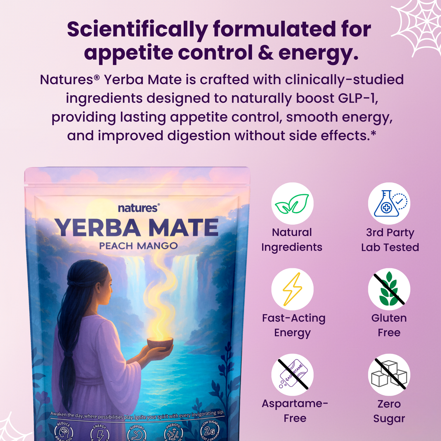 Natures - Yerba Mate Instant Tea Powder