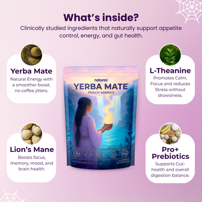 Natures - Yerba Mate Instant Tea Powder